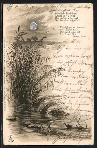 AK Entlein am Schilf, Ostergruss