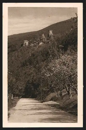 AK Freudenberg, Blick auf Burgruine