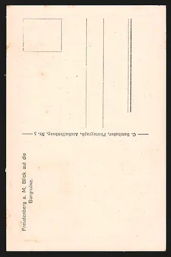 AK Freudenberg, Blick auf Burgruine