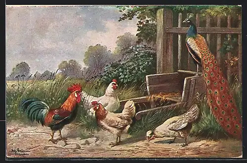 Künstler-AK Alfred Schönian: Hühner & Pfau auf einem Hof
