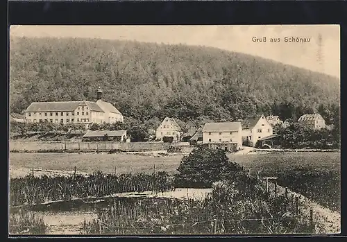 AK Schönau, Blick über einen kleinen Weiher auf die Ortschaft