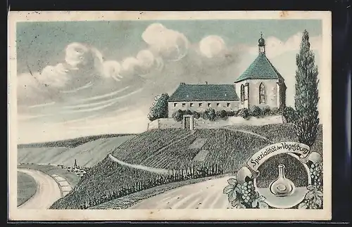 AK Volkach, Blick zum Kloster Vogelsburg, Spezialität der Vogelsburg