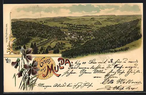 Lithographie Mulda, Gesamtansicht mit Umgebung aus der Vogelschau, Blumen