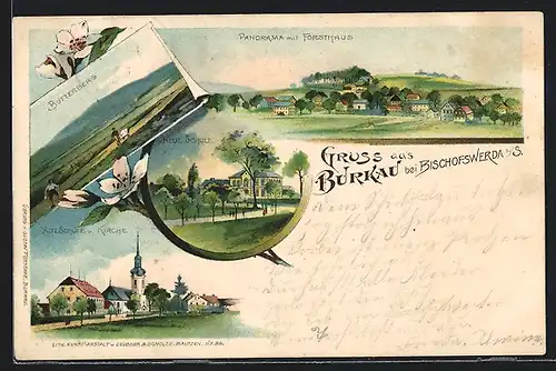 Lithographie Burkau bei Bischofswerda, Alte Schule u. Kirche, Butterberg, Panorama mit Forsthaus