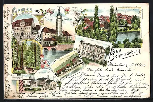 Lithographie Bad Schmiedeberg, Gasthaus Goldene Sonne, Schloss Reinharz, Villa Huth