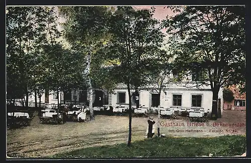 AK Birkenwerder, Gasthaus Briese von Otto Hoffmann mit Gartenpartie