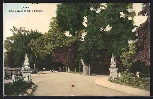 AK Terezin, Stromoradi k malé pevnosti