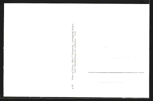 AK Neckarburken, Denkmal, Siedlung, Panorama