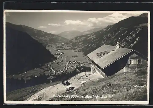 AK Mayrhofen / Zillertal, Gasthaus Wiesenhof mit Blick auf den Ort