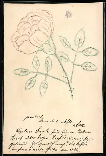 Papierkunst-AK stilvolle Rose mit nachgezeichneten Linien