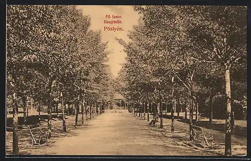 AK Piestany, Fö fasor