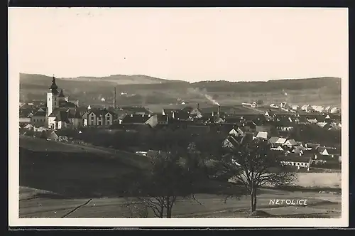 AK Netolice, Panorama