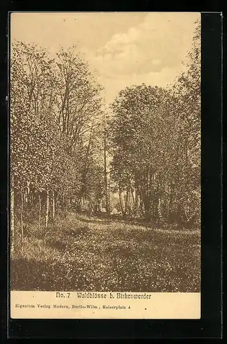 AK Birkenwerder, Partie in der Waldblösse