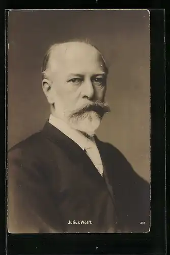 AK Porträt Julius Wolff, Schriftsteller