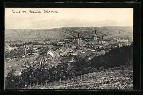 AK Auspitz /Südmähren, Panorama mit Kirche