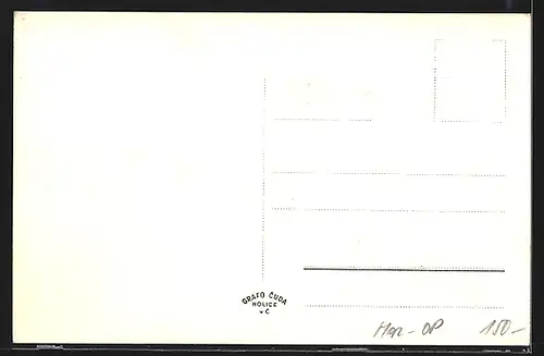 AK Opava, Gebäudeansicht, Kirche, Strassenpartie