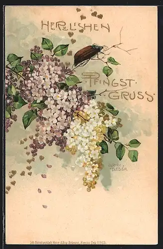 Künstler-Lithographie Ulrich Weber: Pfingstgruss, Maikäfer und Blüten