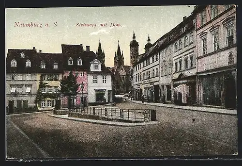 AK Naumburg a. S., Steinweg mit Dom