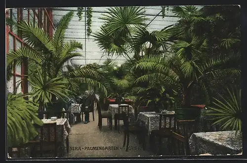 AK Gera, Palmengarten Café