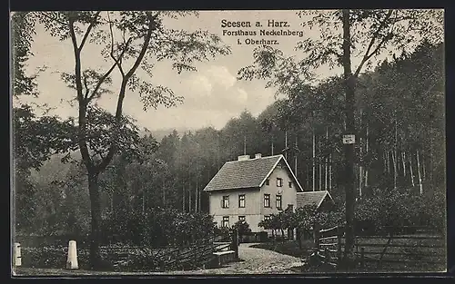 AK Seesen a. Harz, Forsthaus Neckelnberg