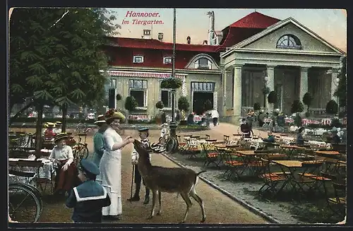 AK Hannover, Café im Tiergarten