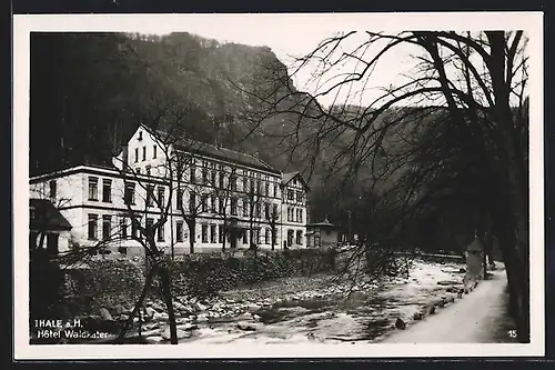 AK Thale a. H., Hotel Waldkater