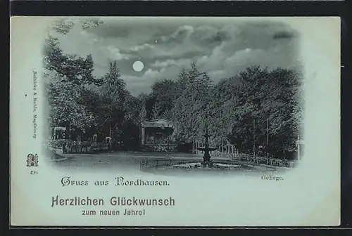 Mondschein-AK Nordhausen, Gehege, Glückwunsch zum neuen Jahre!