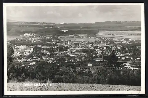 AK Dvur Králové n. L., Celkový pohled