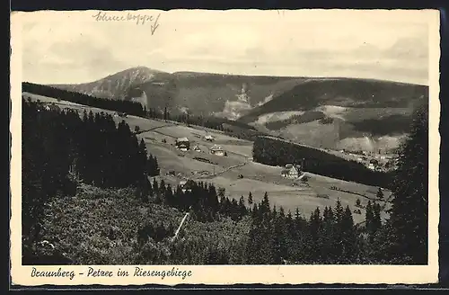 AK Braunberg-Petzer / Riesengebirge, Totalansicht