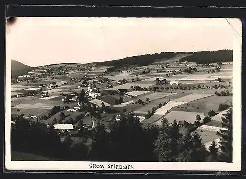 AK Gross-Stiebnitz, Totale vom Berg aus gesehen