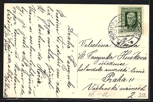 AK Horice, Celkový pohled