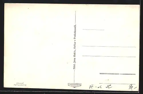 AK Horice v Podkrkonosi, Celkový pohled