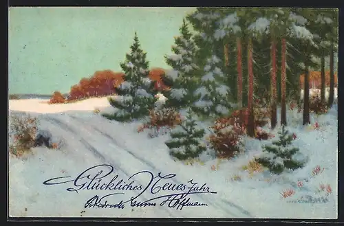 Künstler-AK Ad. Hoffmann: Idylle im schneebeckten Wald