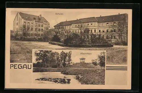 AK Pegau, Schulen, Albert-Hain