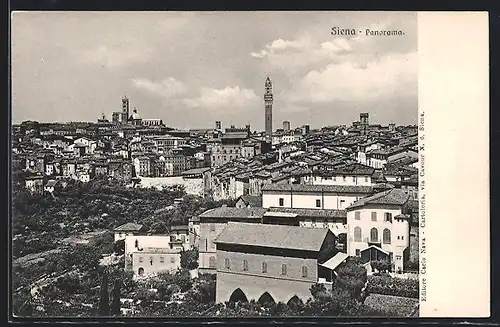 AK Siena, Panorama