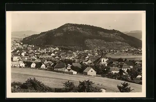 AK Zdice, Celkový pohled