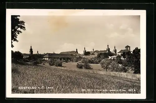 AK Kostelec n. C. Lesy, Celkový pohled