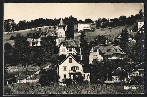AK Erlenbach, Teilansicht mit Villen