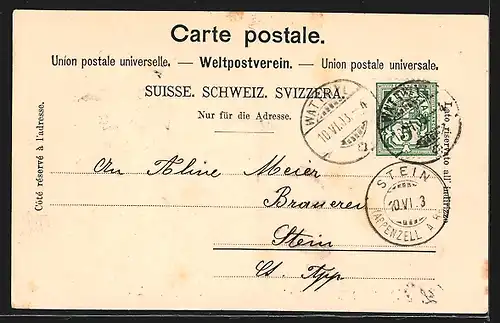 AK Wattwil, Gasthof zum Rössli u. Toggenburg