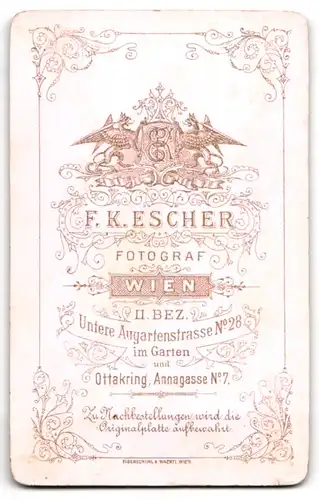 Fotografie F. K. Escher, Wien, Untere Augartenstr. 28, Elegant gekleidete Dame mit einem Hut