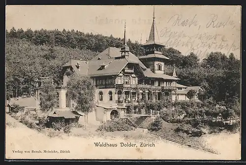 AK Zürich, Blick zum Waldhaus Dolder