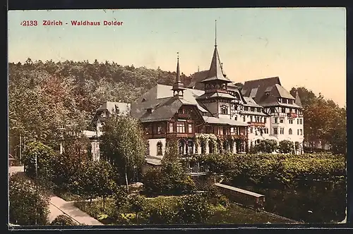 AK Zürich, Waldhaus Dolder mit Park