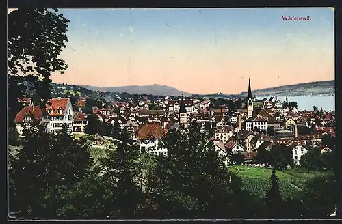 AK Wädenswil, Ortsansicht mit Landschaft