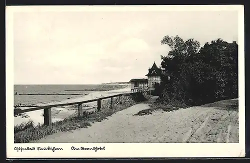 AK Neukuhren, Strandansicht mit Sträuchern