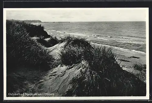 AK Neukuhren, Dünen an der Ostsee