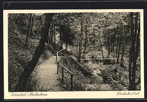 AK Neukuhren, Lachsbachtal mit Wald