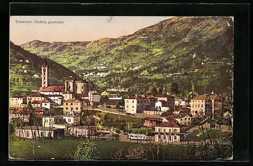 AK Tesserete, Veduta generale