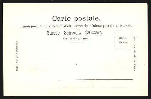 AK Unteraegeri am Aegerisee, Ortsansicht mit zwei Kirchen