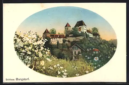 AK Burgdorf, Blick aufs Schloss von Blumenwiese