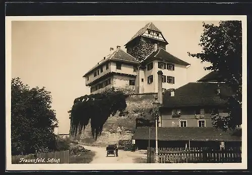AK Frauenfeld, Strassenpartie am Schloss